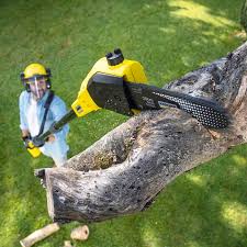 Best Stump Grinding and Removal  in Chester, PA